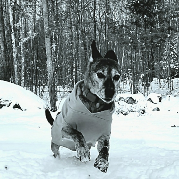 Meet your Posher, Samantha - Picture 1 of 1